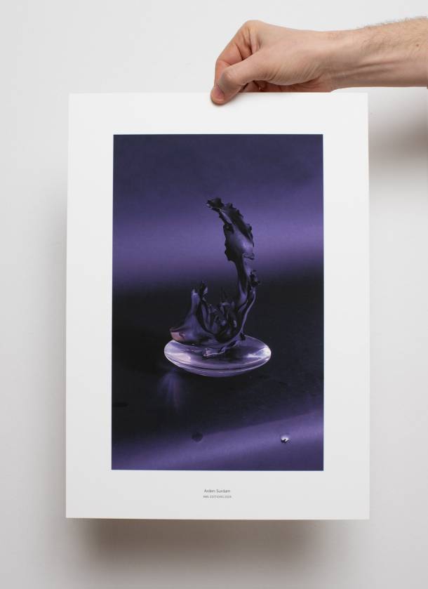 Kelp de Arden Surdam