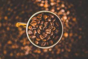 Kaffeebohnen als Titelbild für den Franke Touchless App Blog