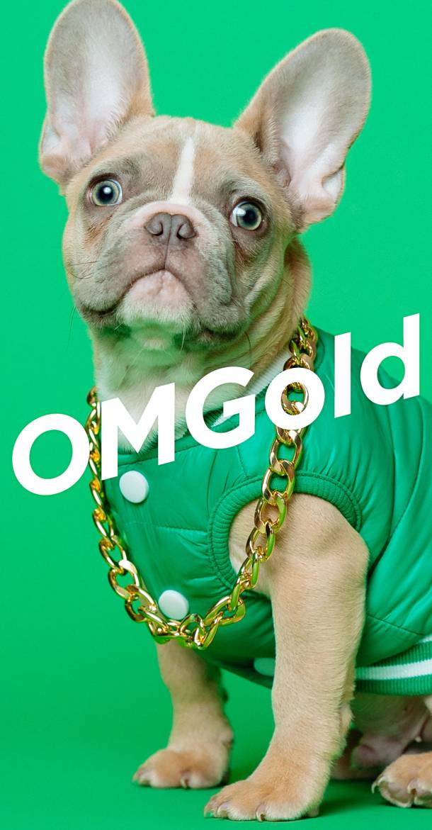 MNTD Pre-Launch Kampganen Bild "OMGold Dog"