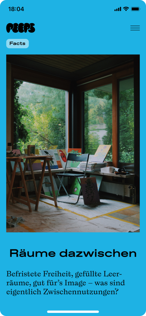 German contribution about interim use